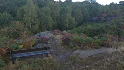 Picture of a bench overlooking a forest, taken in Wales, UK.