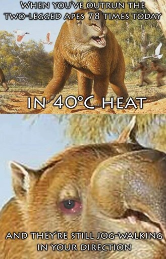 All downhill from there