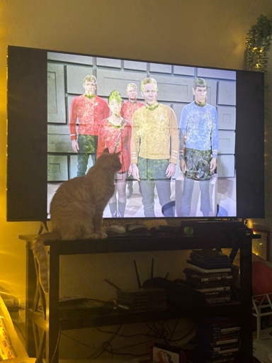 Orange cat sits on entertainment system watching The Original Series cast beam down. 