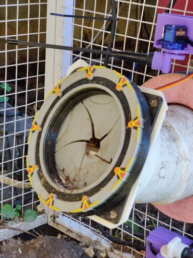 Stargate chicken feeder with a chewed mouse hole in the iris.