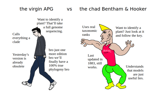 the virgin vs chad meme with Angiosperm Phylogeny Group as the virgin and Bentham and Hooker as the chad
