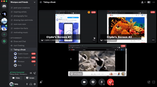 Searching for Discord Alternative with Multi-Screenshare Feature