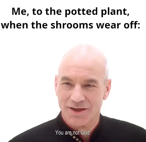 Caption reads "Me, to the potted plant, when the shrooms wear off" above a screengrab of Captain Picard saying [to Q] "You are not God".